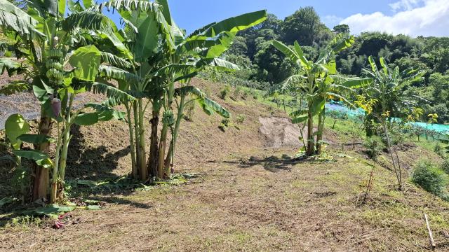 台中東勢農地-2