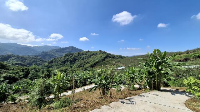 台中東勢農地-3