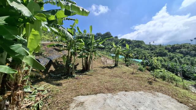 台中東勢農地-7