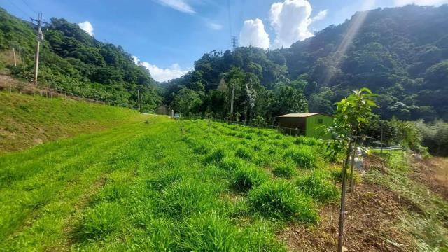 台中東勢農地-4