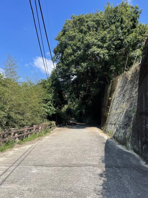 東勢農地-6