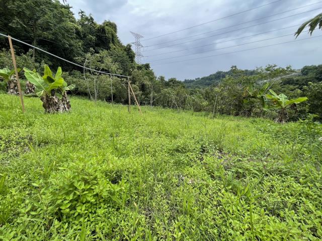 東勢農地-4